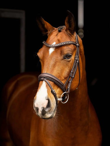 LeMieux Arika Dressage Bridle Brown/Silver| Online For Equine
