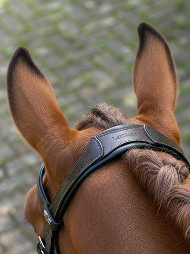 LeMieux Arika Dressage Bridle Brown/Silver| Online For Equine