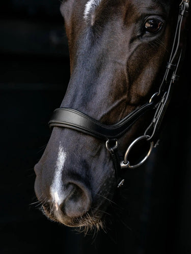 LeMieux Arika Drop Bridle Black/Silver| Online For Equine