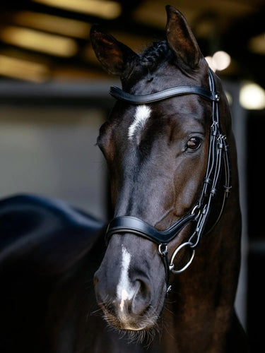 LeMieux Arika Drop Bridle Black/Silver| Online For Equine