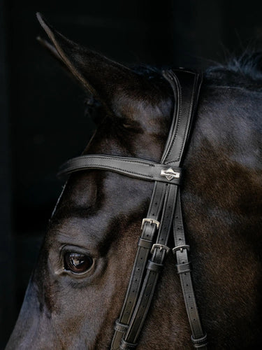 LeMieux Arika Drop Bridle Black/Silver| Online For Equine