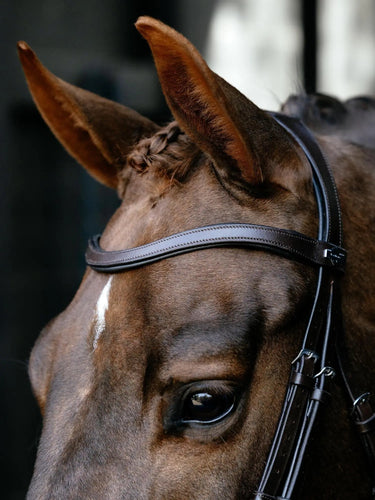 LeMieux Arika Drop Bridle Brown/Silver| Online For Equine