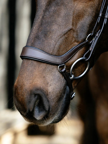 LeMieux Arika Drop Bridle Brown/Silver| Online For Equine