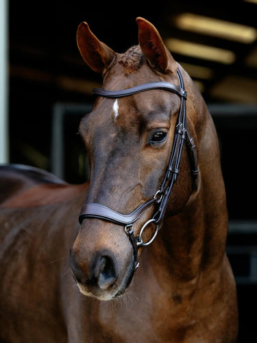 LeMieux Arika Drop Bridle Brown/Silver| Online For Equine