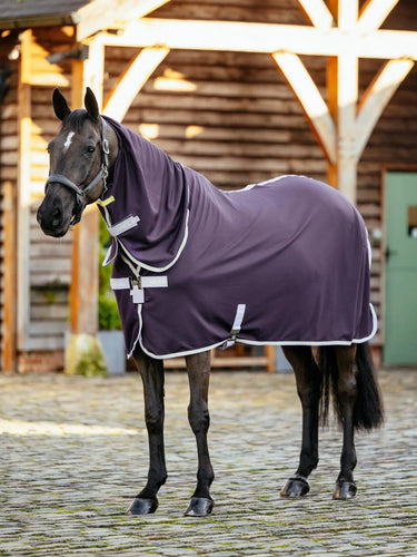 LeMieux Arika DryEase Rug Juniper| Online For Equine