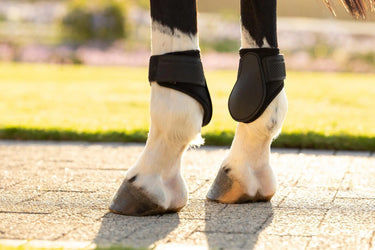 LeMieux Arika Fetlock Boot Black| Online For Equine
