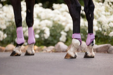 LeMieux Arika Fetlock Boot Fondant| Online For Equine
