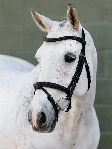 LeMieux Arika Flash Bridle Black/Silver| Online For Equine