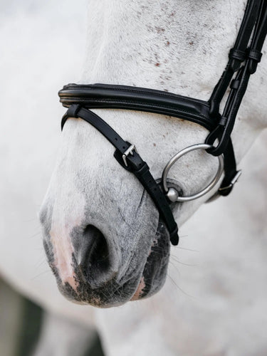 LeMieux Arika Flash Bridle Black/Silver| Online For Equine
