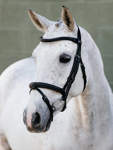 LeMieux Arika Flash Bridle Black/Silver| Online For Equine