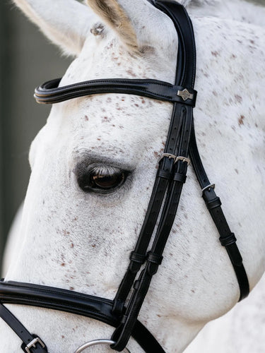 LeMieux Arika Flash Bridle Black/Silver| Online For Equine