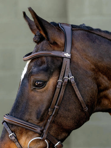 LeMieux Arika Flash Bridle Brown/Silver| Online For Equine