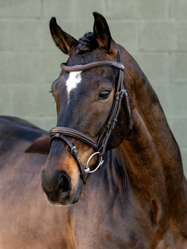 LeMieux Arika Flash Bridle Brown/Silver| Online For Equine