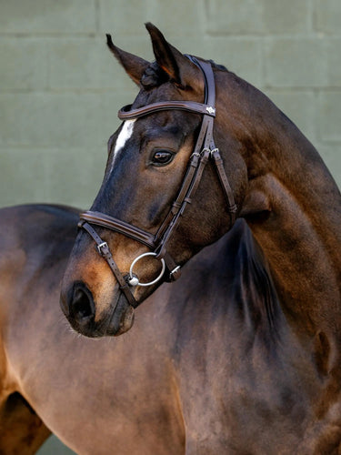 LeMieux Arika Flash Bridle Brown/Silver| Online For Equine