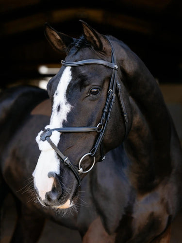 LeMieux Arika Grackle Bridle Black/Silver| Online For Equine