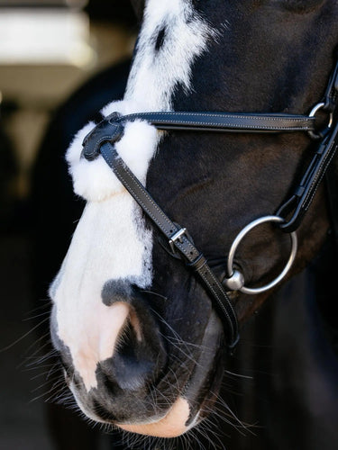 LeMieux Arika Grackle Bridle Black/Silver| Online For Equine