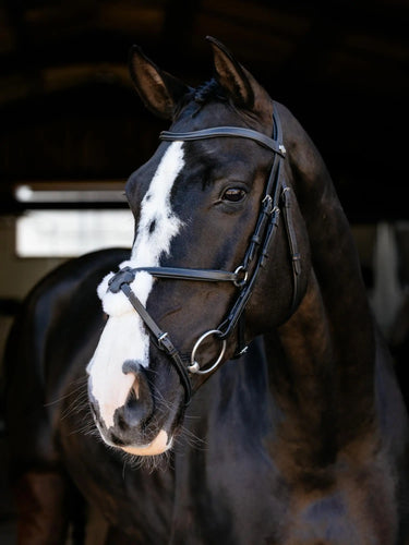 LeMieux Arika Grackle Bridle Black/Silver| Online For Equine