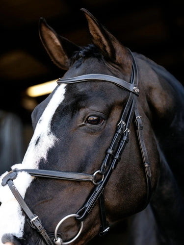 LeMieux Arika Grackle Bridle Black/Silver| Online For Equine