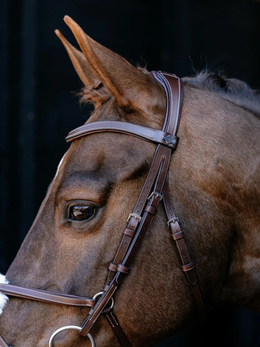 LeMieux Arika Grackle Bridle Havana/Silver| Online For Equine