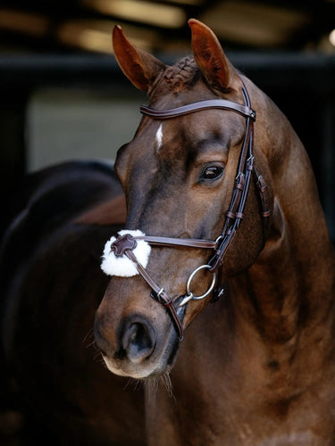 LeMieux Arika Grackle Bridle Havana/Silver| Online For Equine