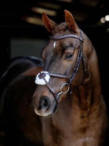 LeMieux Arika Grackle Bridle Havana/Silver| Online For Equine