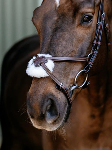 LeMieux Arika Grackle Bridle Havana/Silver| Online For Equine