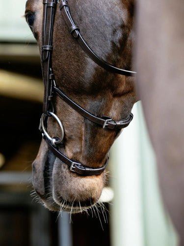 LeMieux Arika Grackle Bridle Havana/Silver| Online For Equine