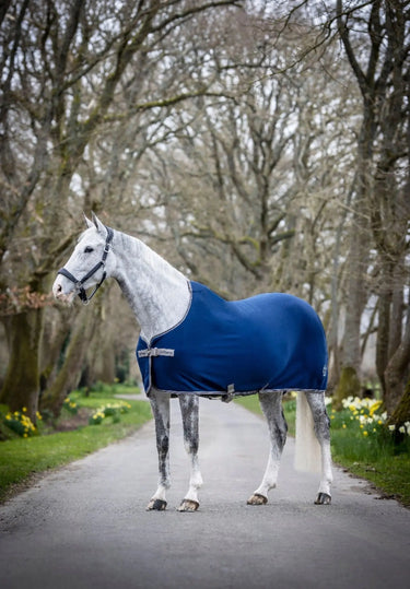 Buy LeMieux Arika Jersey-Tek Rug| Online for Equine
