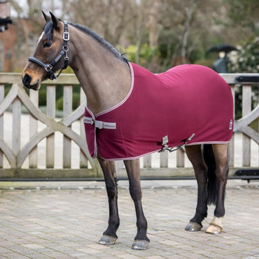 Buy LeMieux Arika Jersey-Tek Rug| Online for Equine