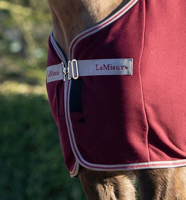 Buy LeMieux Arika Jersey-Tek Rug| Online for Equine