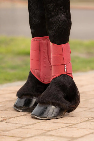 LeMieux Arika Mesh Brushing Boots Cranberry| Online For Equine