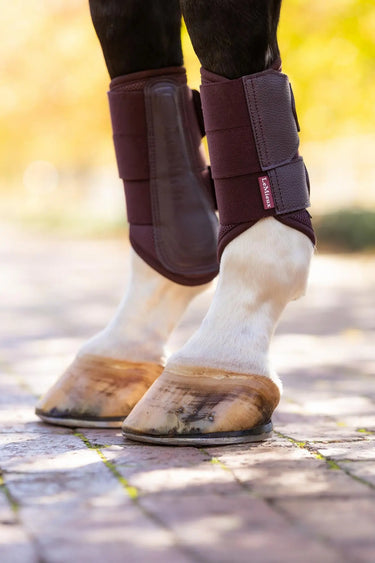 LeMieux Arika Mesh Brushing Boots Damson| Online For Equine