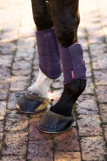 LeMieux Arika Mesh Brushing Boots Juniper| Online For Equine
