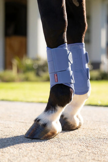 LeMieux Arika Mesh Brushing Boots Powder Blue| Online For Equine