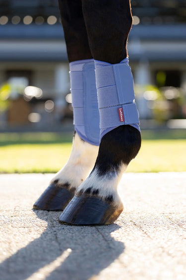 LeMieux Arika Mesh Brushing Boots Powder Blue| Online For Equine