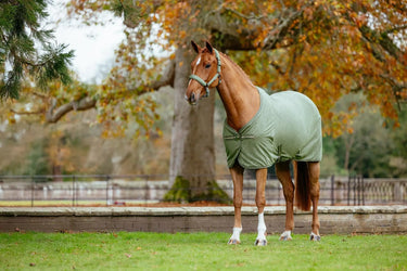 LeMieux Arika Monogram Fleece Rug Rosemary| Online For Equine