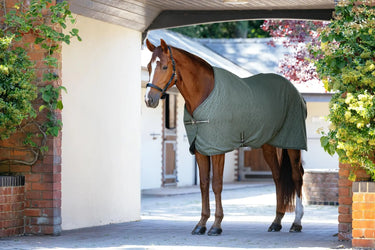 LeMieux Arika Monogram Fleece Rug Rosemary| Online For Equine