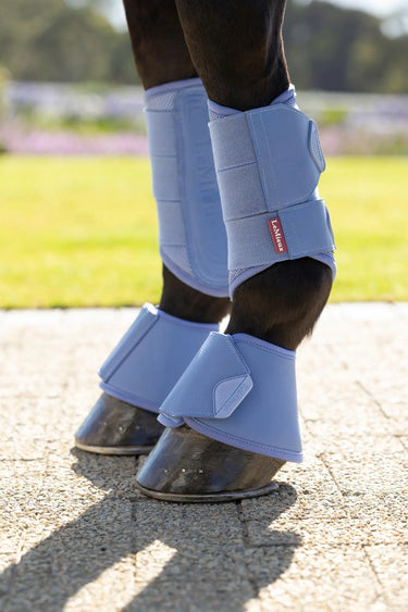 LeMieux Arika Over Reach Boots Powder Blue| Online For Equine
