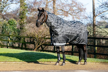 LeMieux Arika Reflective 100g Turnout Rug Black| Online For Equine