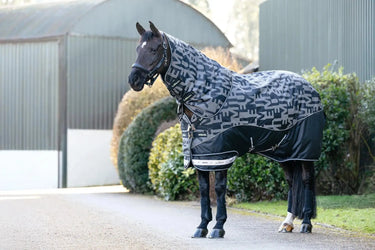 LeMieux Arika Reflective 100g Turnout Rug Black| Online For Equine