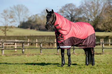LeMieux Arika Ripstop 0g Turnout Rug Cranberry| Online For Equine