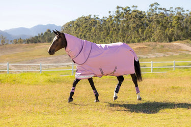 LeMieux Arika Ripstop 0g Turnout Rug Fondant| Online For Equine