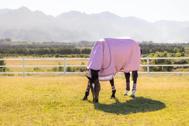 LeMieux Arika Ripstop 0g Turnout Rug Fondant| Online For Equine