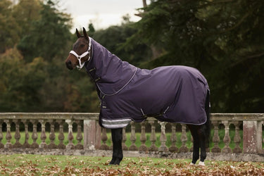 LeMieux Arika Ripstop 0g Turnout Rug Juniper| Online For Equine