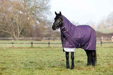 LeMieux Arika Ripstop 100g Turnout Rug Juniper| Online For Equine
