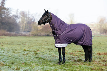 LeMieux Arika Ripstop 100g Turnout Rug Juniper| Online For Equine