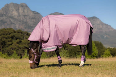 LeMieux Arika Ripstop 50g Turnout Rug Fondant| Online For Equine