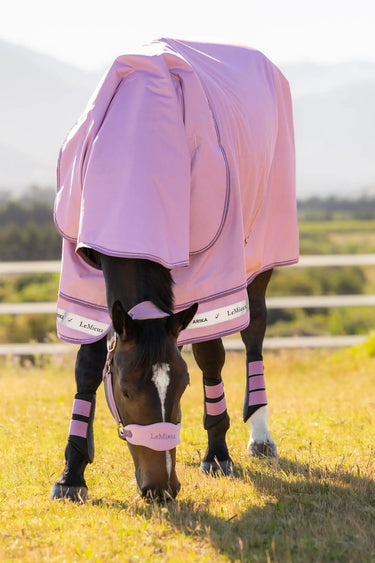 LeMieux Arika Ripstop 50g Turnout Rug Fondant| Online For Equine