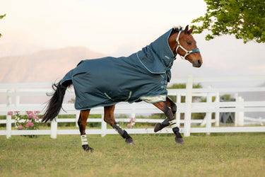 LeMieux Arika Ripstop 50g Turnout Rug Jungle| Online For Equine