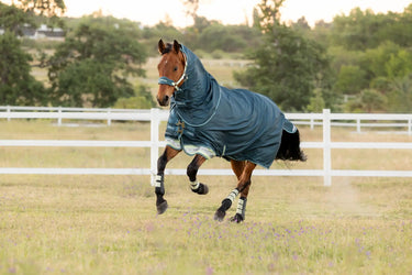 LeMieux Arika Ripstop 50g Turnout Rug Jungle| Online For Equine